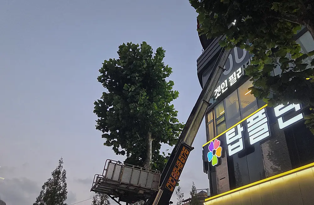 부천 원미구 빌라가정쓰레기수거 시공 전
