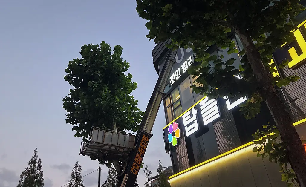 폐기물처리 현장 사진 11