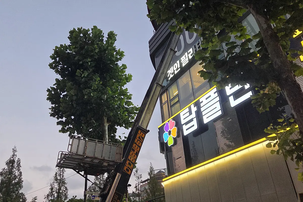 수원 장안구 창고묵은짐대량수거장롱버리기 현장 사진 2