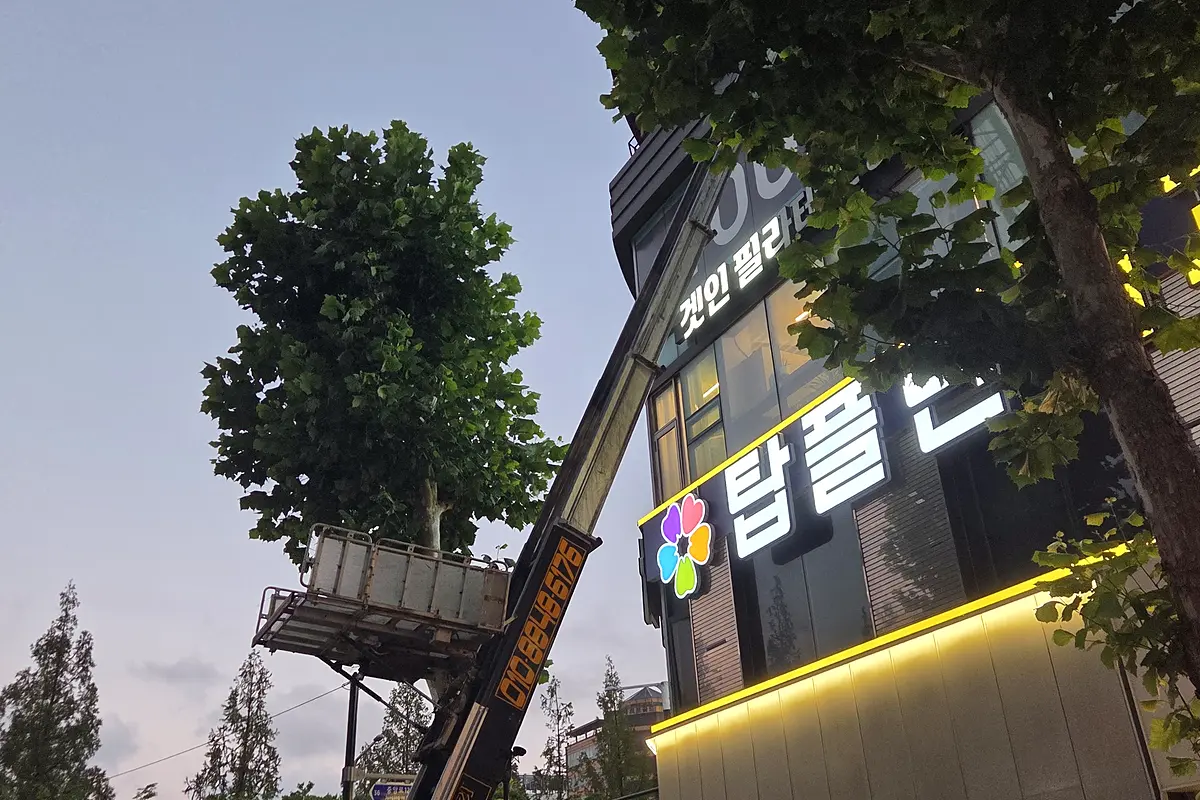 수원 장안구 창고묵은짐대량수거장롱버리기 현장 사진 5