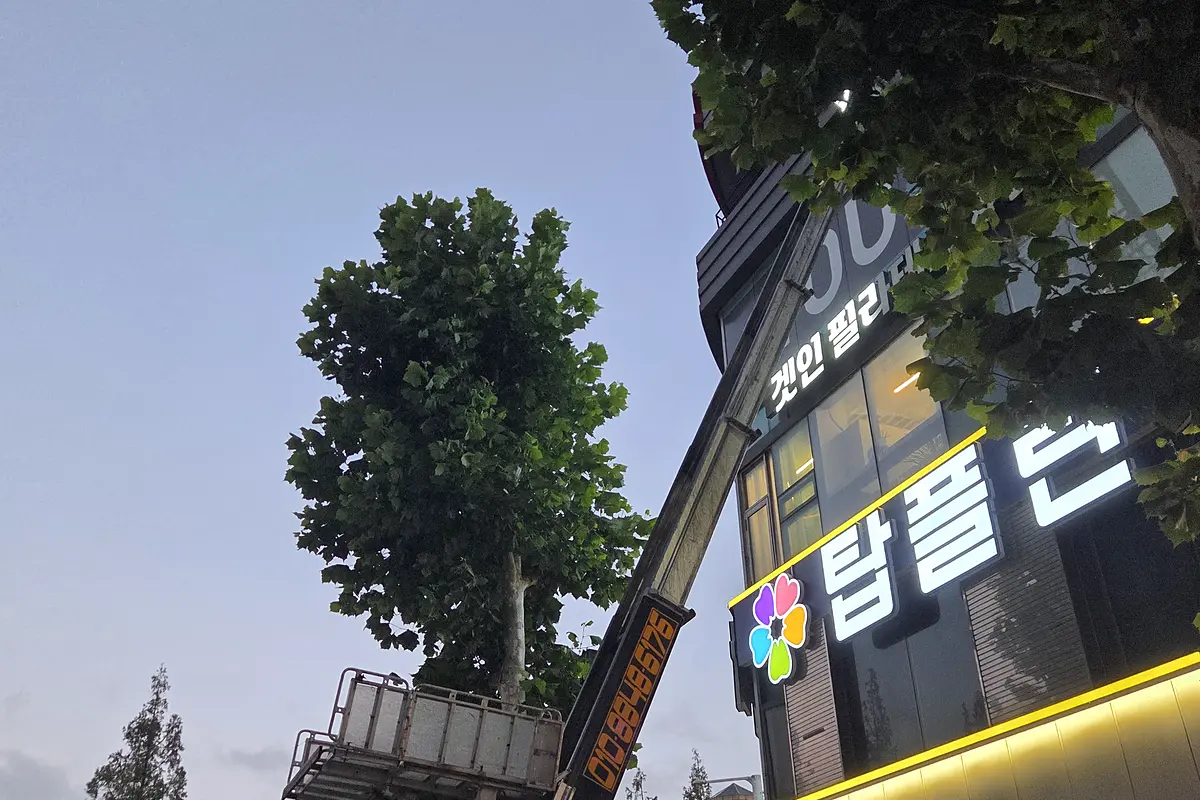 수원 권선구 이사폐기물방문수거당일수거 현장 사진 1