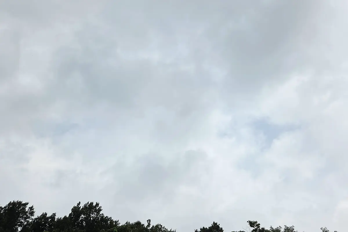 강남구 가정대형쓰레기수거 당일수거 현장 사진 2