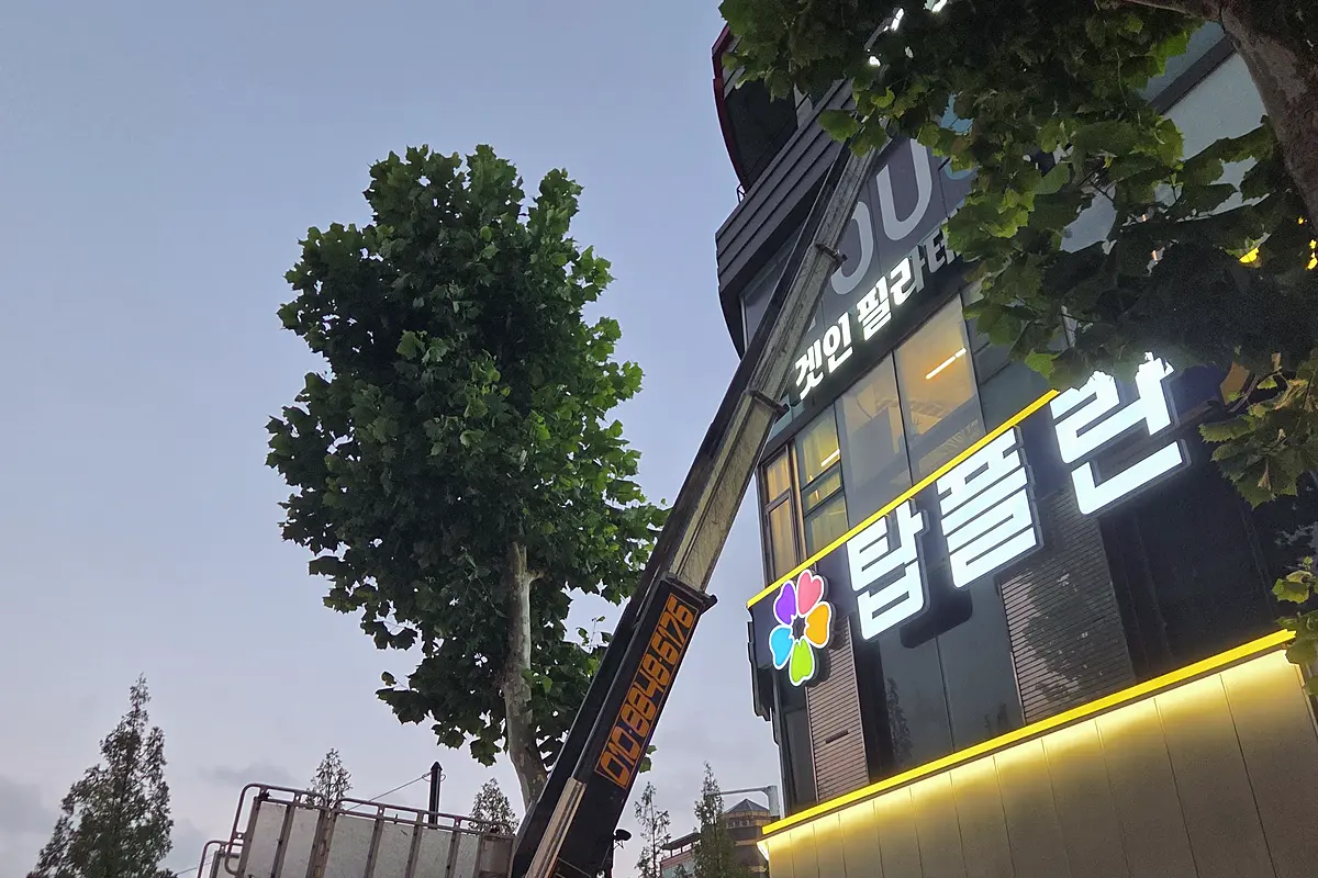 강남구 아파트이사폐기물수거가정폐기물 현장 사진 2